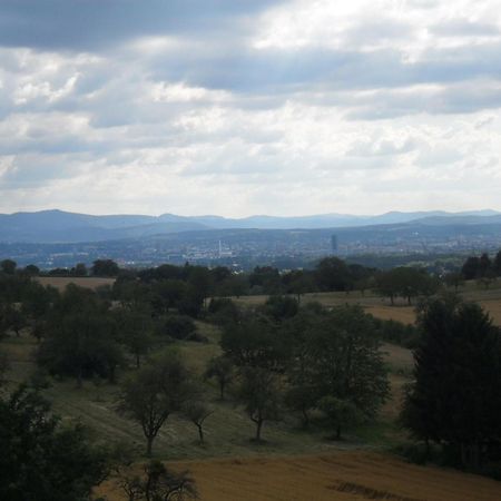 Hellmut-Wassmer-Jugendherberge Loerrach Buitenkant foto