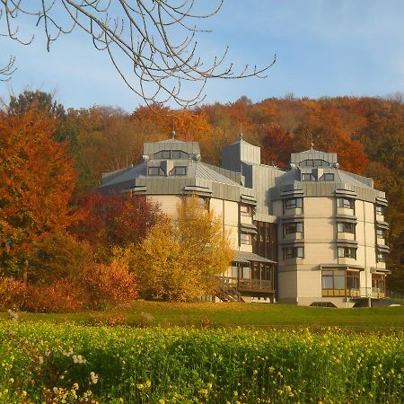 Hellmut-Wassmer-Jugendherberge Loerrach Buitenkant foto