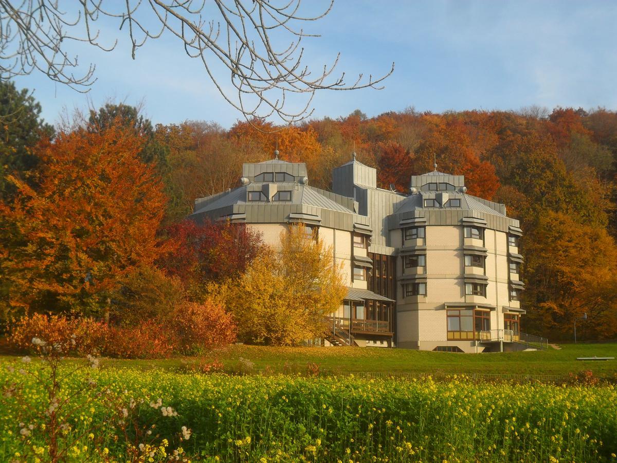 Hellmut-Wassmer-Jugendherberge Loerrach Buitenkant foto